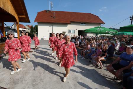 PRIREDITEV NA LEPI MENEŠIJI 25 FOTO LJUBO VUKELIČ
